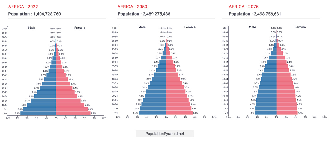 The demographic pyramid of the African continent shows a strong representation of the younger population until 2050, then stabilization around 2075.