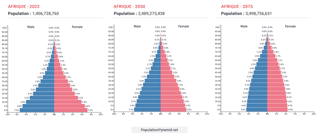 La pyramide démographique du continent africain montre une forte représentation de la population jeune jusqu’en 2050, puis une stabilisation vers 2075.